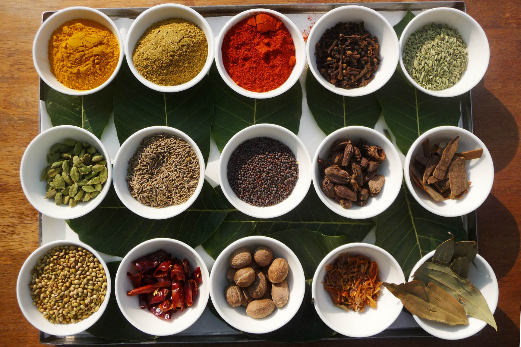 the spices of India ©Regina Fischer-Cohen