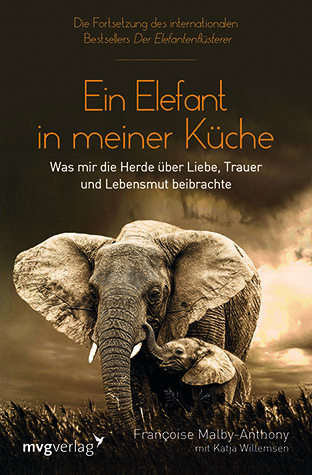 Ein Elefant In Meiner Kuche Reiseblog Die Reiselautsprecher