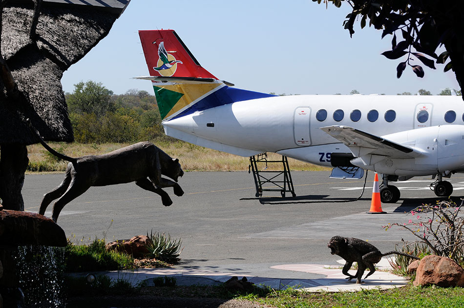 South African Airways, kurz SAA
